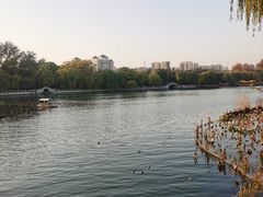 -济南大明湖景区