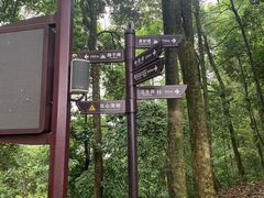 -缙云山景区