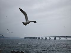 -黑石礁公园