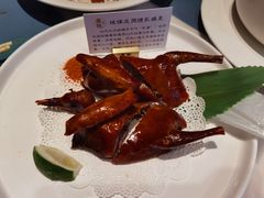 脆皮炸乳鸽-大树餐厅(益田假日店)