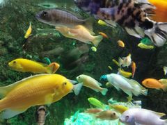 -太平洋海底世界