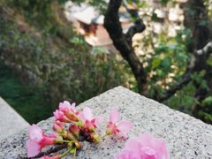 -乌山风景区