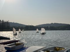 -上海月湖雕塑公园