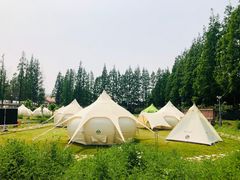 -前小桔亲子创意农场·草莓采摘·露营烧烤