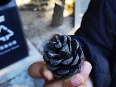 -长辛店二七公园