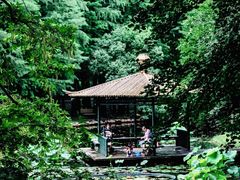 -上海共青森林公园