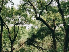 -宁波市保国寺古建筑博物馆