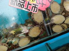-港畔赶海蒸汽海鲜烧烤自助(仙螺岛店)