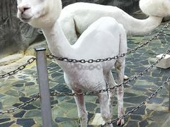 -上海大自然野生昆虫馆(东方明珠·爬宠昆虫探索中心)