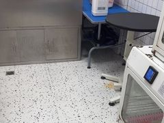 -瑞派康怡24h宠物医院·犬猫医疗中心·微创绝育(瑞景分院)
