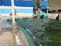 -北戴河圣蓝海洋公园