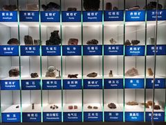 -中国地质博物馆