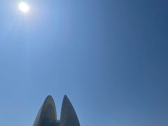 -野狸岛