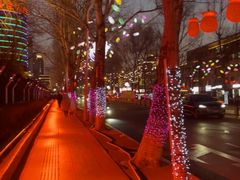 -长春市南湖公园