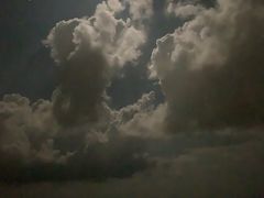 -贝壳沙滩