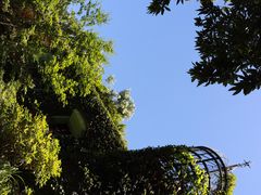 -三鹰之森吉卜力美术馆