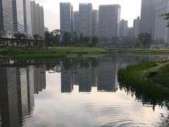 -花果园湿地公园