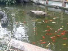 -华林禅寺