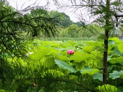-云龙湖旅游景区