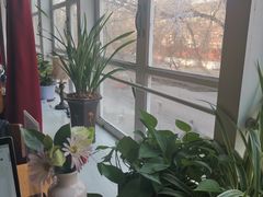 -雕刻时光咖啡馆(北师大店)