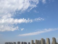 -丁香湖公园