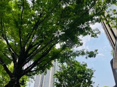 -龙湖重庆时代天街