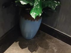 -新盈光·旗舰店(海曙苍松路店)