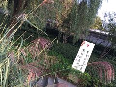 -重庆彩云湖湿地公园