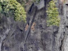 -环城公园-琥珀潭