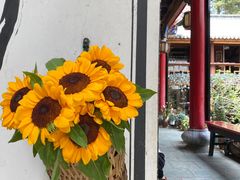 -寂照庵