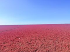 -红海滩国家风景廊道