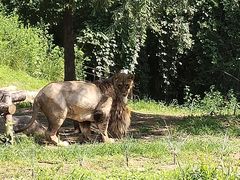 -北京野生动物园