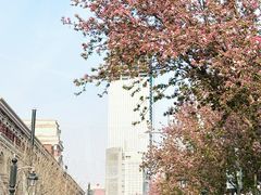 -天津五大道文化旅游区