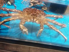 -大润发(花都店)