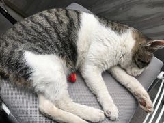 -UNI UNI(环亚凯瑟琳店)