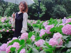 -常州古运河南大街文化旅游区-人民公园