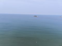-广东惠东海龟国家级自然保护区