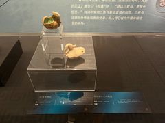 -西安大唐西市博物馆