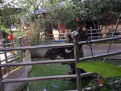 -城林園·老滇味