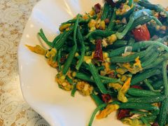 炝香黄瓜苗-文三里屯面馆(三里屯店)