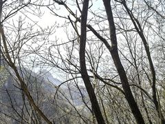 -塔云山
