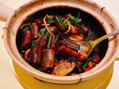 黄鳝啫啫煲-惠食佳(滨江大公馆店)