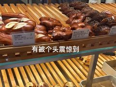 -WHEN PIGS FLY当猪飞