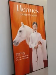 -大树儿童摄影
