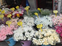 -循礼门鲜花花市(武汉循礼门店)