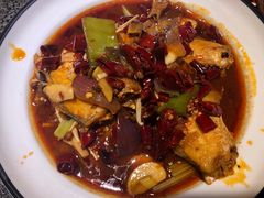 -酒肉行·虎子盐筋烤肉(大寨路店)