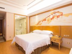 -维也纳国际酒店·佛山南海千灯湖桂城地铁站店