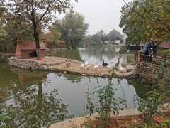 -静之湖湖畔餐厅