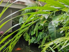 -漫笙舍Manse·咖啡·民宿