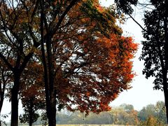 -梁鸿国家湿地公园